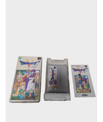 Dragon Quest V