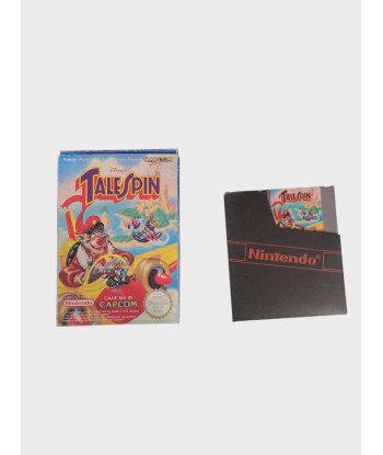 TaleSpin