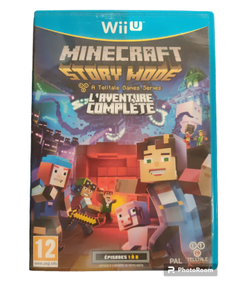 Minecraft Story Mode...