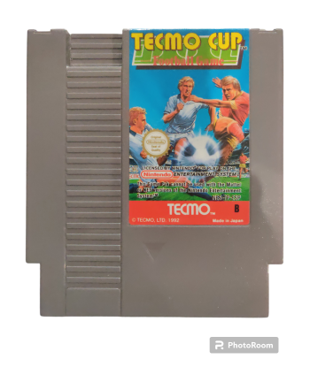 Tecmo Cup Football Game