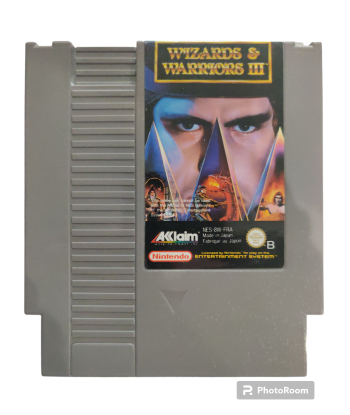 Wizards & Warriors III 3