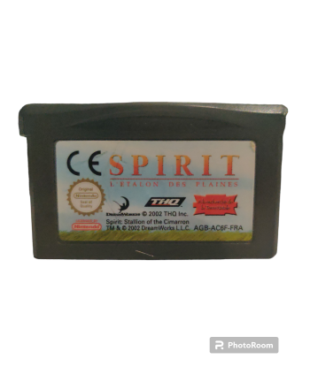 Spirit L'Etalon Des Plaines