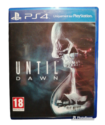 Until Dawn
